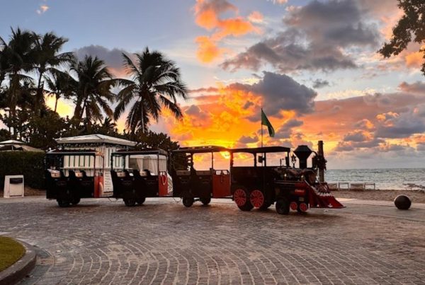 Trackless Train Rental Florida