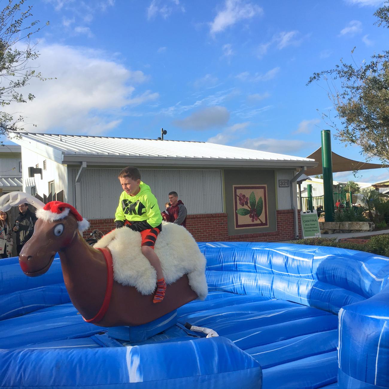 Reindeer Ride Rental in Florida