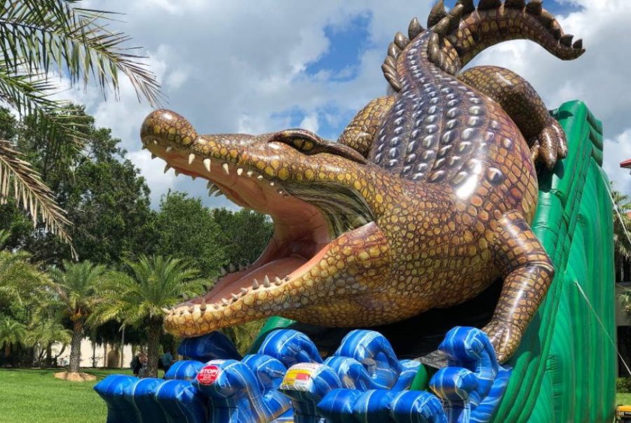 Florida Water Slide Rentals | Inflatable Waterslides & Dry Slides