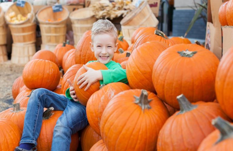 tips-for-creating-a-successful-fall-festival-in-florida